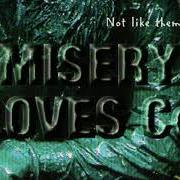 Il testo PROVE ME WRONG di MISERY LOVES CO è presente anche nell'album Not like them (1997)