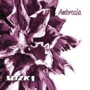 Il testo LOVER ARRIVE degli AMBROSIA è presente anche nell'album Ambrosia (1975)