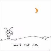 Il testo WAIT FOR ME di MOBY è presente anche nell'album Wait for me (2009)