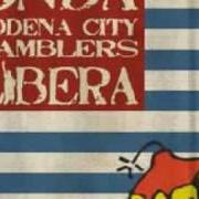 Il testo LIBERA TERRA dei MODENA CITY RAMBLERS è presente anche nell'album Onda libera (2009)