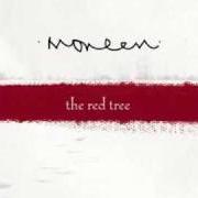 Il testo BLEED AND BLISTER (VERSION 3) dei MONEEN è presente anche nell'album The red tree (2006)