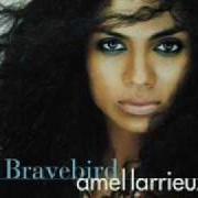 Il testo EVERY SECOND di AMEL LARRIEUX è presente anche nell'album Bravebird (2004)