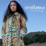 Il testo MORNING di AMEL LARRIEUX è presente anche nell'album Morning (2006)