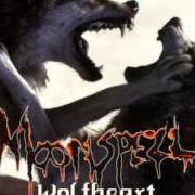 Il testo AN EROTIC ALCHEMY dei MOONSPELL è presente anche nell'album Wolfheart (1995)