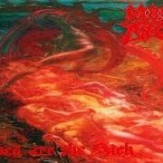 Il testo DOOMSDAY CELEBRATION dei MORBID ANGEL è presente anche nell'album Blessed are the sick (1991)