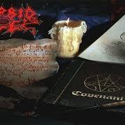 Il testo RAPTURE dei MORBID ANGEL è presente anche nell'album Covenant (1993)