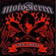 Il testo DEAD CITY dei MOTOSIERRA è presente anche nell'album Life in hell (2006)
