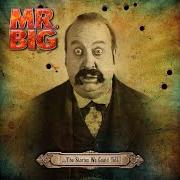 Il testo GOTTA LOVE THE RIDE dei MR. BIG è presente anche nell'album ...The stories we could tell (2014)