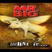 Il testo AROUND THE WORLD dei MR. BIG è presente anche nell'album What if ... (2011)