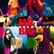 Il testo I'VE LEARNED MY LESSON dei MR. BIG è presente anche nell'album Japandemonium (1994)