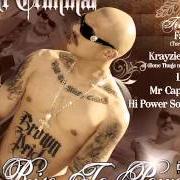 Il testo CRIMINAL LIFE di MR. CRIMINAL è presente anche nell'album Rise to power (2008)