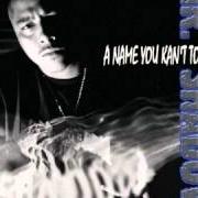 Il testo WHAT AM I TO DO di MR. SHADOW è presente anche nell'album A name you kan't touch (2002)
