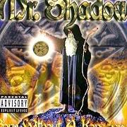 Il testo SHAKING IN YOUR BOOTZ di MR. SHADOW è presente anche nell'album Born without a konscience (1999)