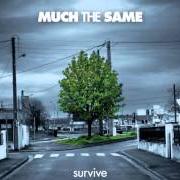 Il testo WHAT I KNOW dei MUCH THE SAME è presente anche nell'album Survive