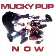 Il testo HIPPIES HATE WATER dei MUCKY PUP è presente anche nell'album Now (1990)