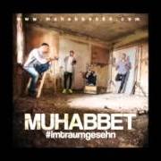 Il testo BENI BIRAKIP GITME di MUHABBET è presente anche nell'album Imtraumgesehn (2013)