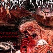 Il testo BORN IN A SEWAGE dei MURDER SQUAD è presente anche nell'album Ravenous, murderous (2003)