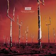 Il testo MICRO CUTS (XX ANNIVERSARY REMIXX) dei MUSE è presente anche nell'album Origin of symmetry (xx anniversary remixx) (2021)