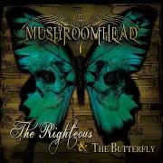 The righteous & the butterfly