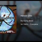 Il testo UNDER YOUR WINGS AND INTO YOUR ARMS dei MY DYING BRIDE è presente anche nell'album 34.788%... complete (1998)