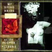 Il testo SILENT DANCE dei MY DYING BRIDE è presente anche nell'album As the flower withers (1992)