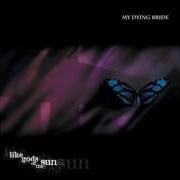 Il testo FOR MY FALLEN ANGEL dei MY DYING BRIDE è presente anche nell'album Like gods of the sun (1996)