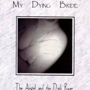 Il testo THE SEXUALITY OF BEREAVEMENT dei MY DYING BRIDE è presente anche nell'album The angel and the dark river (1995)