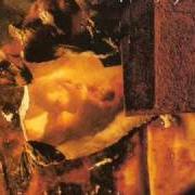 Il testo LE CERF MALADE dei MY DYING BRIDE è presente anche nell'album The thrash of the naked limbs (1993)