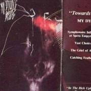 Il testo CATCHING FEATHERS dei MY DYING BRIDE è presente anche nell'album Towards the sinister (1990)