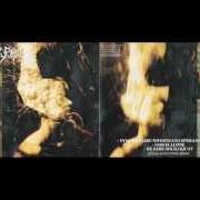 Il testo SYMHONAIRE INFERNUS ET SPERA EMPYRIUM dei MY DYING BRIDE è presente anche nell'album Symphonaire infernus et spera empyrium (1992)