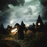 Il testo TERRA FIRMA dei MYCHILDREN MYBRIDE è presente anche nell'album Lost boy (2010)