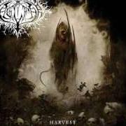 Il testo INTO THE BLACK dei NAGLFAR è presente anche nell'album Harvest (2007)