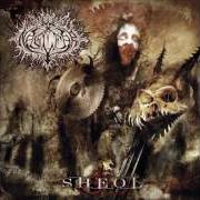 Il testo THE INFERNAL CEREMONY dei NAGLFAR è presente anche nell'album Sheol (2003)