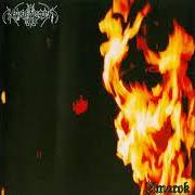 Il testo INTO THE VOID di NARGAROTH è presente anche nell'album Amarok (2000)