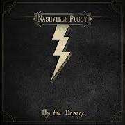 Il testo SPENT dei NASHVILLE PUSSY è presente anche nell'album Up the dosage (2014)