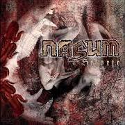 Il testo MASQUERADE dei NASUM è presente anche nell'album Grind finale (2005)