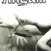 Il testo THE MEANINGLESS TRIAL dei NASUM è presente anche nell'album Human 2.0 (1999)