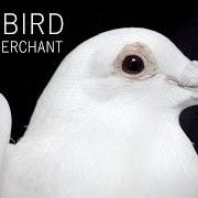 Il testo LADYBIRD di NATALIE MERCHANT è presente anche nell'album Natalie merchant (2014)