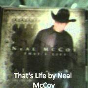 Il testo HILLBILLY RAP di NEAL MCCOY è presente anche nell'album That's life (2005)