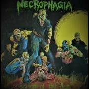 Il testo REINCARNATION dei NECROPHAGIA è presente anche nell'album Season of the dead (1987)