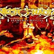 Il testo UNEARTHED dei NECROPHAGIA è presente anche nell'album Harvest ritual vol. 1 (2005)