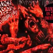 Il testo THEY DWELL BENEATH dei NECROPHAGIA è presente anche nell'album Black blood vomitorium (1999)