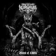 Il testo INFINITE INFERNALIS di NECROPHOBIC è presente anche nell'album Womb of lilithu (2013)