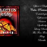 Il testo CALM, PRECIOUS, MAD dei NEGLECTED FIELDS è presente anche nell'album Synthinity (1997)