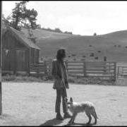 Il testo THE LONER di NEIL YOUNG è presente anche nell'album Sugar mountain: live at canterbury house 1968 (2008)