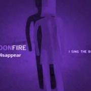 I sing the body holographic