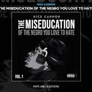 The miseducation of the negro you love to hate