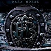 Il testo THIS AFTERNOON dei NICKELBACK è presente anche nell'album Dark horse (2008)