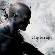 Il testo ENDLESS NIGHT dei NIGHTRAGE è presente anche nell'album The puritan (2015)