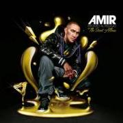 Il testo VIVO PER QUESTO degli AMIR è presente anche nell'album Naturale (2004)